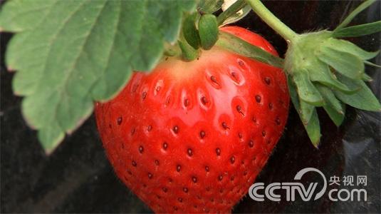 ±±¾©²ýƽ£ºº£¹é˶ʿ ¹Ö²¡²øÉíÓ´´Òµ¡¶Ö¸»¾¡·4