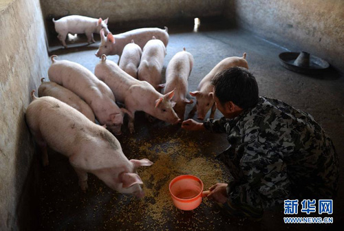 СϡաСԱץء飨320㣩