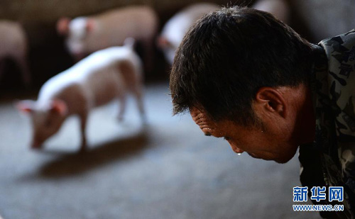 СץСء顣Сжץÿζæú䤱320㣩