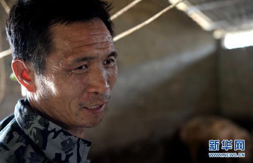 ʧȥ볣죬ЩУ320㣩