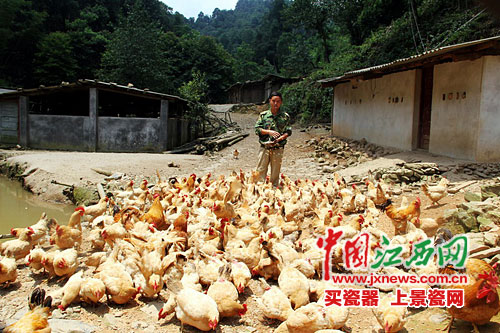 遂川青年放弃高薪回乡致富