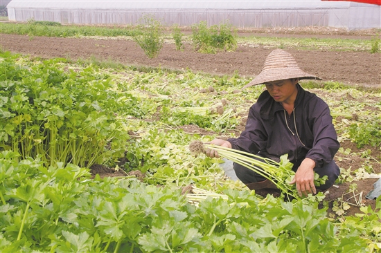 ֲˣ෴㣬ΪʱϱȽɣһ˿Ծһ