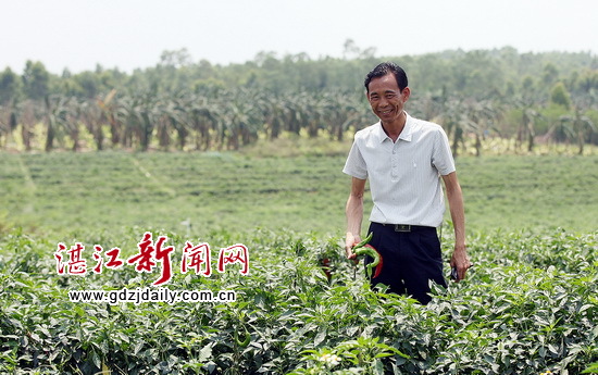 广东高桥镇:“蛋蕉大王”的故事