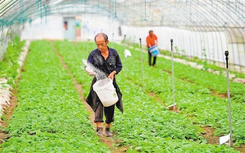 ����������300�໧����ũ�񹤴���3000��ҵ�ʽ�