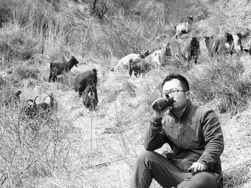 大学生回乡当“羊倌”