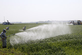 СÂóËëÆÚÖØ´ó²¡³æ³ÊÖØ·¢Ì¬ÊÆ Å©Òµ²¿½øÒ»²½²¿Êð·À¿Ø¹¤×÷4