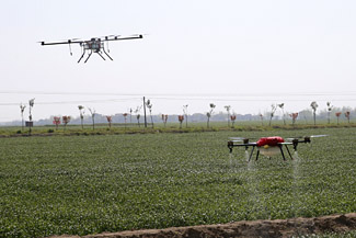 СÂóËëÆÚÖØ´ó²¡³æ³ÊÖØ·¢Ì¬ÊÆ Å©Òµ²¿½øÒ»²½²¿Êð·À¿Ø¹¤×÷5