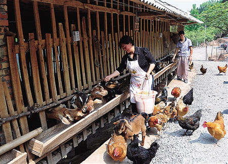 创办巾帼家庭农场带领父老乡亲致富