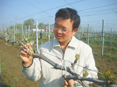 Ż󣺡˶ʿũֳ˶ʿѡ