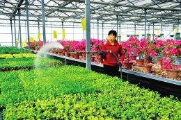 52գũҵ԰ܻڣԱڸ۲罽ˮ