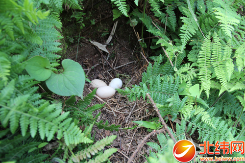 ЩҰÿµڲͬĵطԱÿ춼ɽѰµ