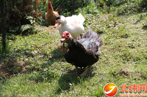 ͼΪĽѼÿֻۼ100Ԫ200ԪȣʳǿũֱӵɱҲؼ