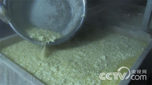 湖南邵东县:不争气的儿子接手亏损生意之后《致富经》4