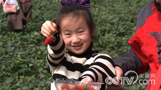 山东青岛:一个女孩的非凡财富《致富经》4