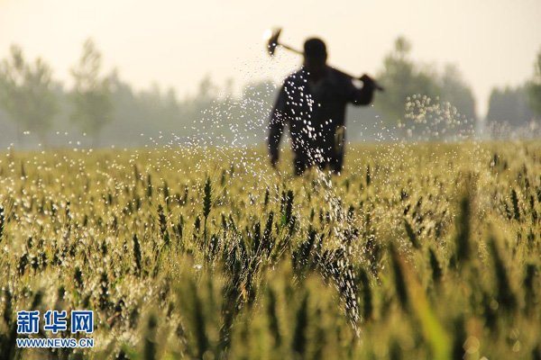 520գʡڻسǹ̴ũｽС