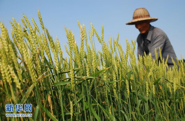 520գɽʡׯй·ֵʮȪũ鿴Сơ