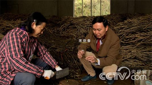 江西德兴市:“葛疯子”刨根刨出亿万财