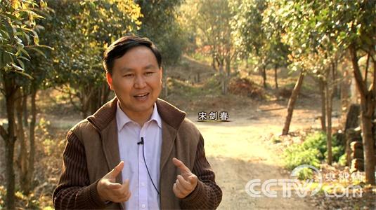 江西德兴市:“葛疯子”刨根刨出亿万财4