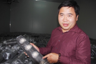 Ҫְִҵũ ҵɹִǧũ¸