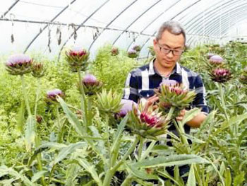 ������鿴���ʼ����ơ�