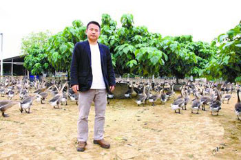 戚超群在他的养鹅场。