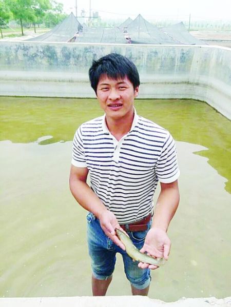 李双田在鱼塘捉泥鳅。