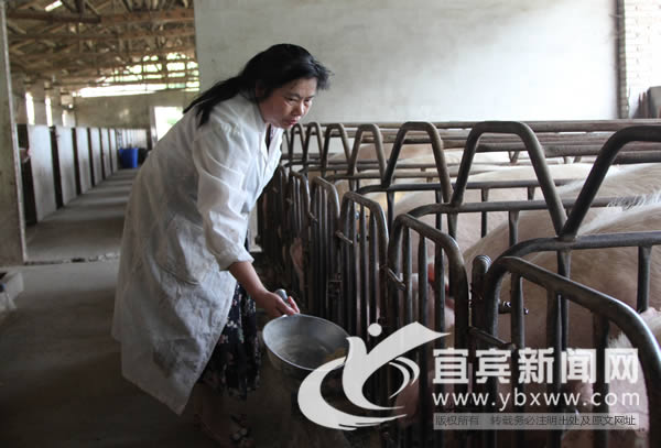 Ĵ˱ʧҵŮδ󵨡¸֮·