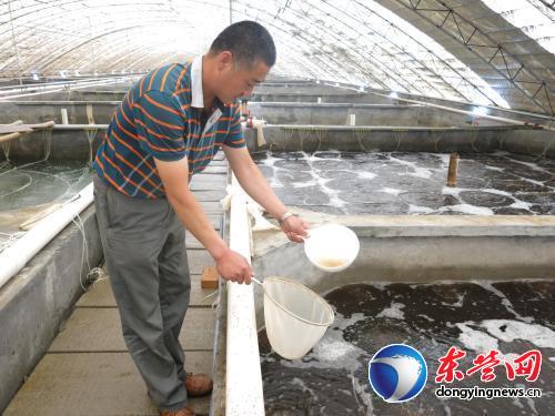 董集镇:家庭农场主的“致富经”