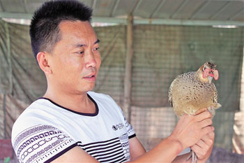 �Ĵ������������Ұ�� ΢�Ŷ������̻�