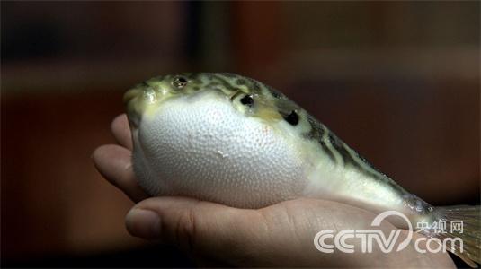 갺�ƽ���ҿ�����׬Ǯ���¸�����2