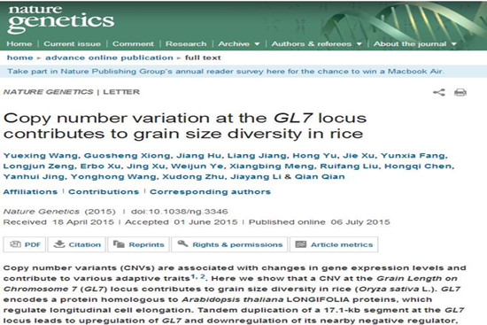 ÖйúÅ©¿ÆÔº´´ÐÂÍÅ¶ÓÆÆ½âË®µ¾Á£³¤µ÷¿Ø·Ö×Ó»úÖÆ