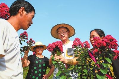 四川阳和镇:返乡大学生种花致富忙