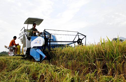 723գʡʯ´ũʻũո絾