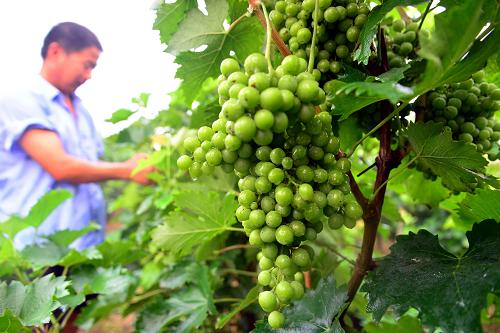 723գɽʡƽغСũڸѴ档