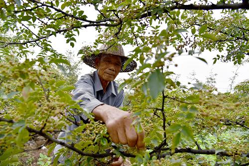 723գɽʡׯɽͤɽڴũɽϲժ