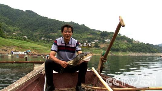 施善玉:“鱼”痴的惊喜财富《致富经》