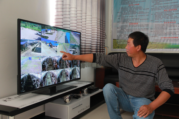 全新的监控设备可以查看到牛场内的每一个角落