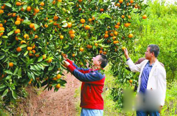 Ķ԰˴οͣʡȴ˴֮࣬ٽ¸