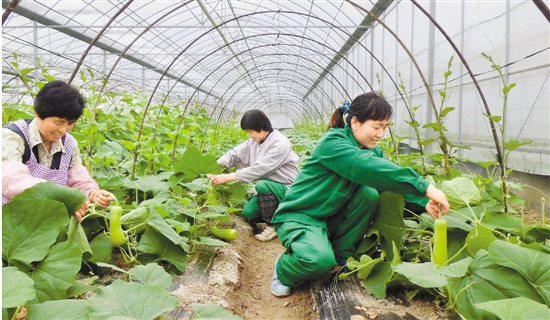 عӭꡱ ݷִ̬ũҵ԰3˶