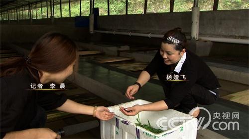 杨娅飞:重庆秀山县敢做发财梦的爱美女人3