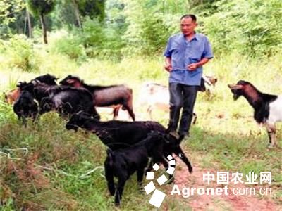 ĴӪɽأ80Сﵱϡţ˾١