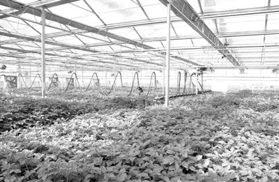 żҿйԴִũҵۺϿʾ԰3000ƽ׵Ҵȫ¿ءԶ࣬üɼԼѨ취Ѷ硣