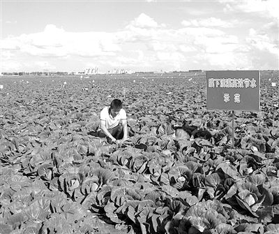 żҿڹԴ߲˽гܽΰУרղ˷·ũƷг