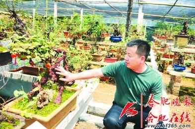 宗林和他的何首乌