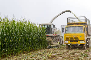 ٣ʵƽũҵתʽ Ż׽ṹʵũҵЧ