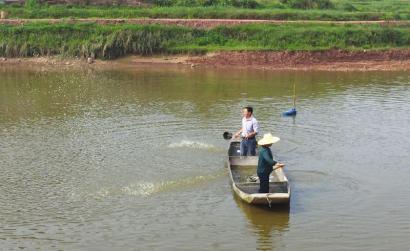 李申学给鱼塘消毒