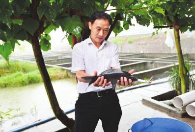 李申学展示他的岩鲤