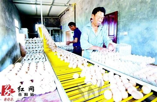 ӡƷˡ˾ ũ볬10Ԫ