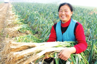 ũҵ��չ��ʽ���ִ���ҵת�䱾��Ʒ�Ƶ�������ũҵ��չ֮·2