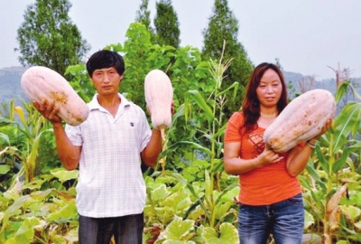 ũҵ��չ��ʽ���ִ���ҵת�䱾��Ʒ�Ƶ�������ũҵ��չ֮·